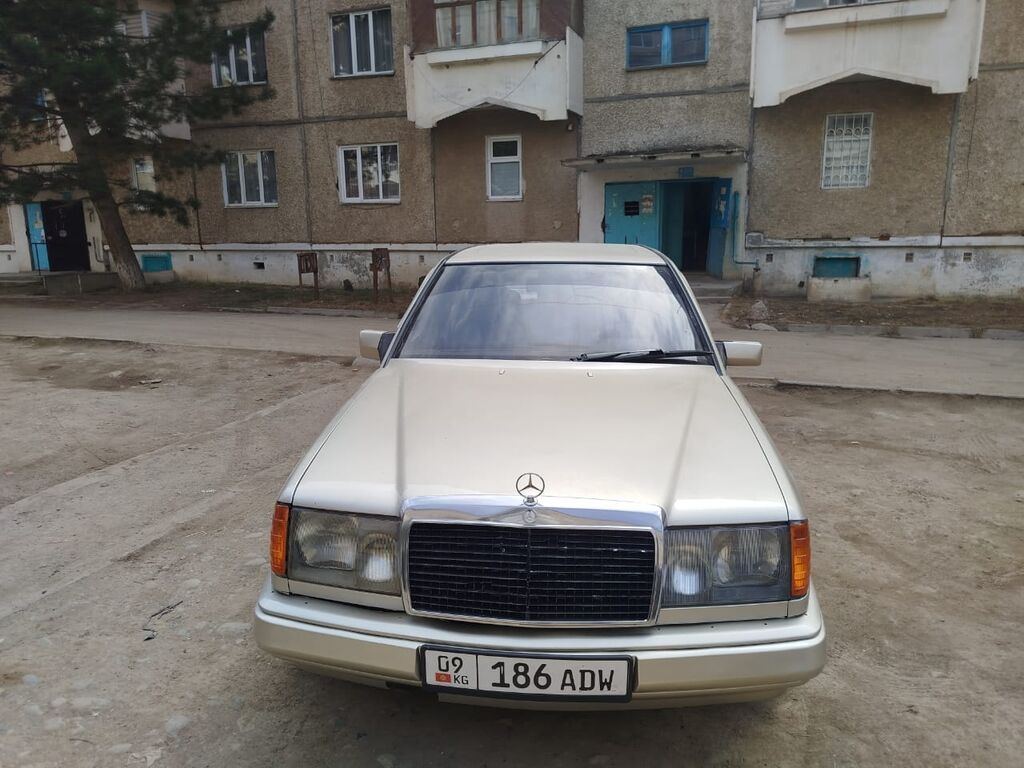 Mercedes-Benz W124: 1987 г., 2.5 л, Дизель, Седан: фото 5