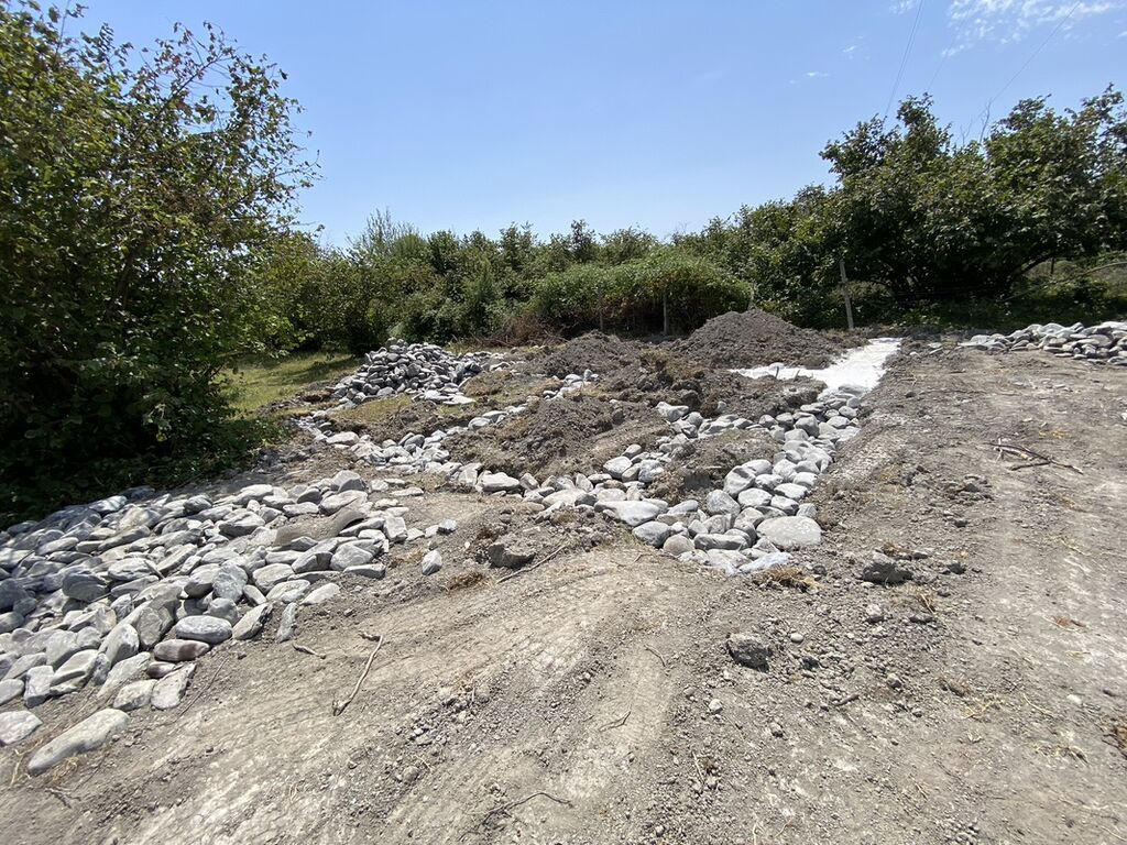 Tikinti