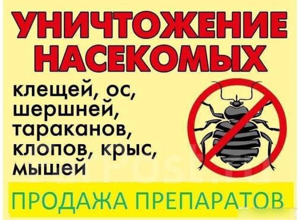 Обработка От Тараканов Цена