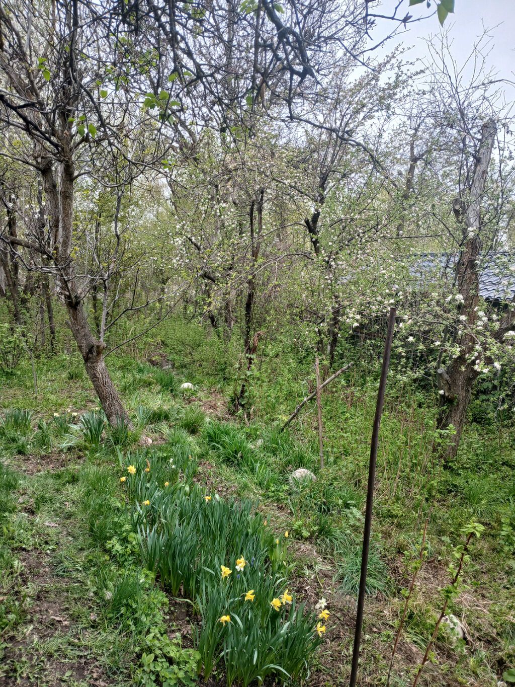 2 комнаты, 23 м², 5 соток, Таш-Добо ж/м