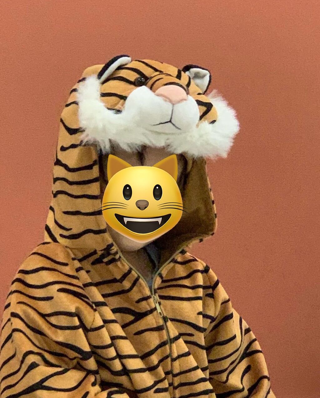 Детские костюмы тигра и льва