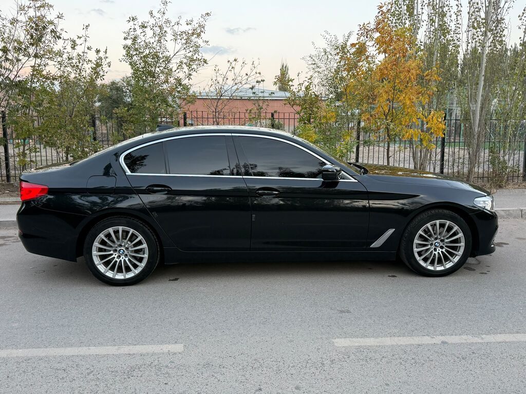 BMW 5 series: 2019 г., 2 л, Автомат, Бензин, Седан: фото 6