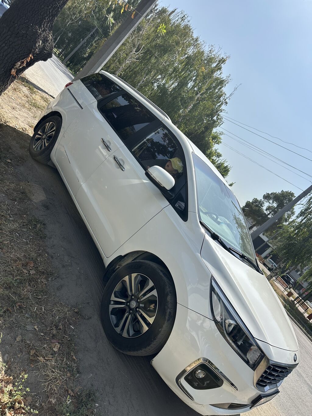 Kia Carnival: 2018 г., Автомат, Дизель, Минивэн: фото 4