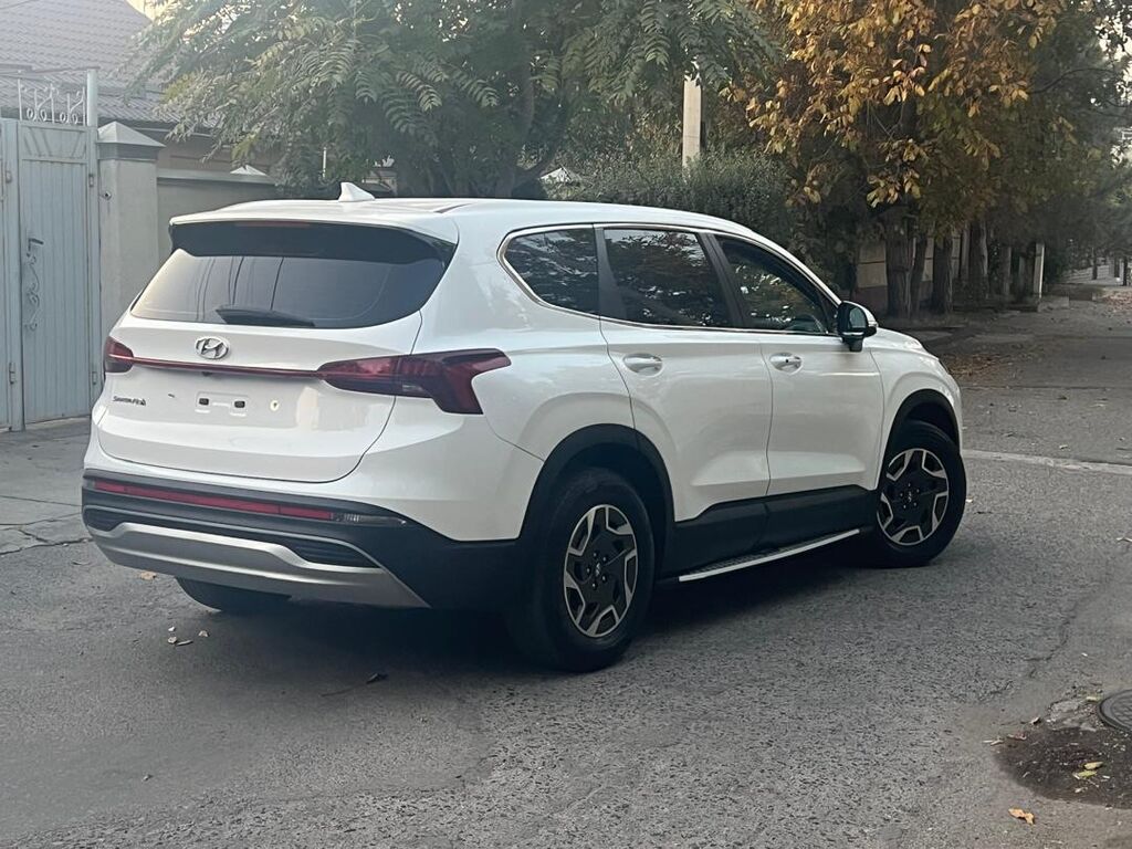 Hyundai Santa Fe: 2022 г., 1.6 л, Автомат, Бензин, Кроссовер: фото 5