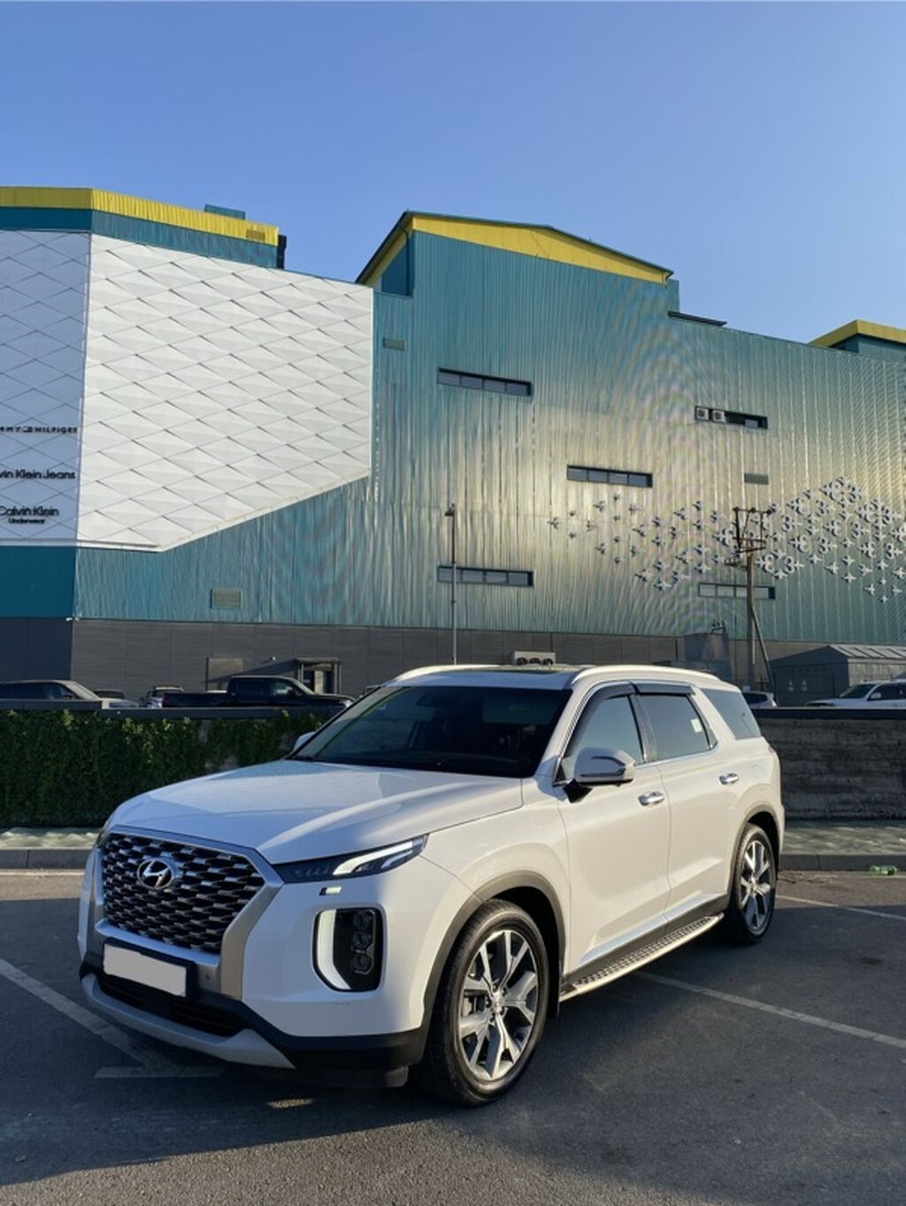 Hyundai Palisade: 2020 г., 2.2 л, Автомат, Бензин, Кроссовер: фото 1