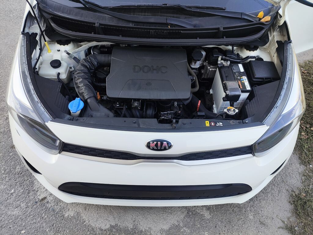 Kia Morning: 2019 г., 1 л, Автомат, Бензин, Хэтчбэк: фото 2
