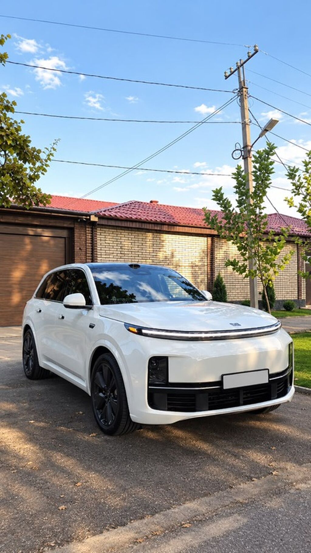 Lixiang L9: 2025 г., 1.5 л, Автомат, Гибрид, Кроссовер: фото 3