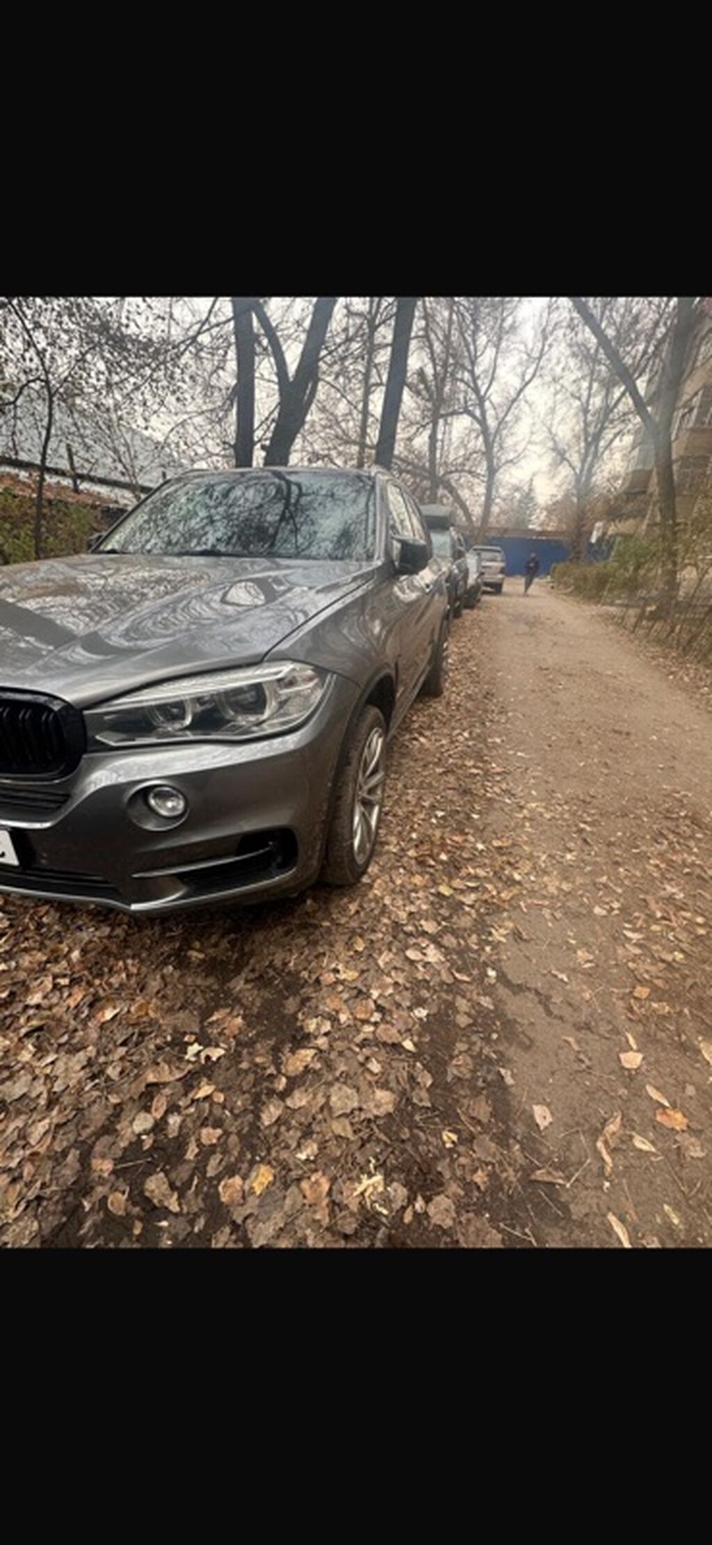 BMW X5: 2015 г., 3 л, Автомат, Бензин, Кроссовер: фото 2