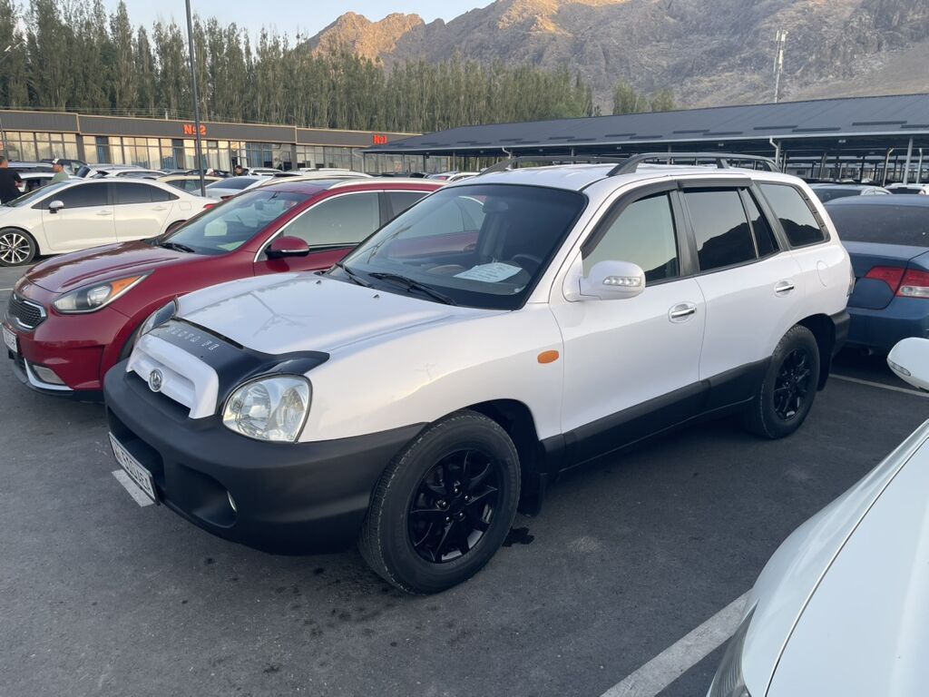 Hyundai Santa Fe: 2004 г., 2 л, Автомат, Дизель, Кроссовер: фото 5