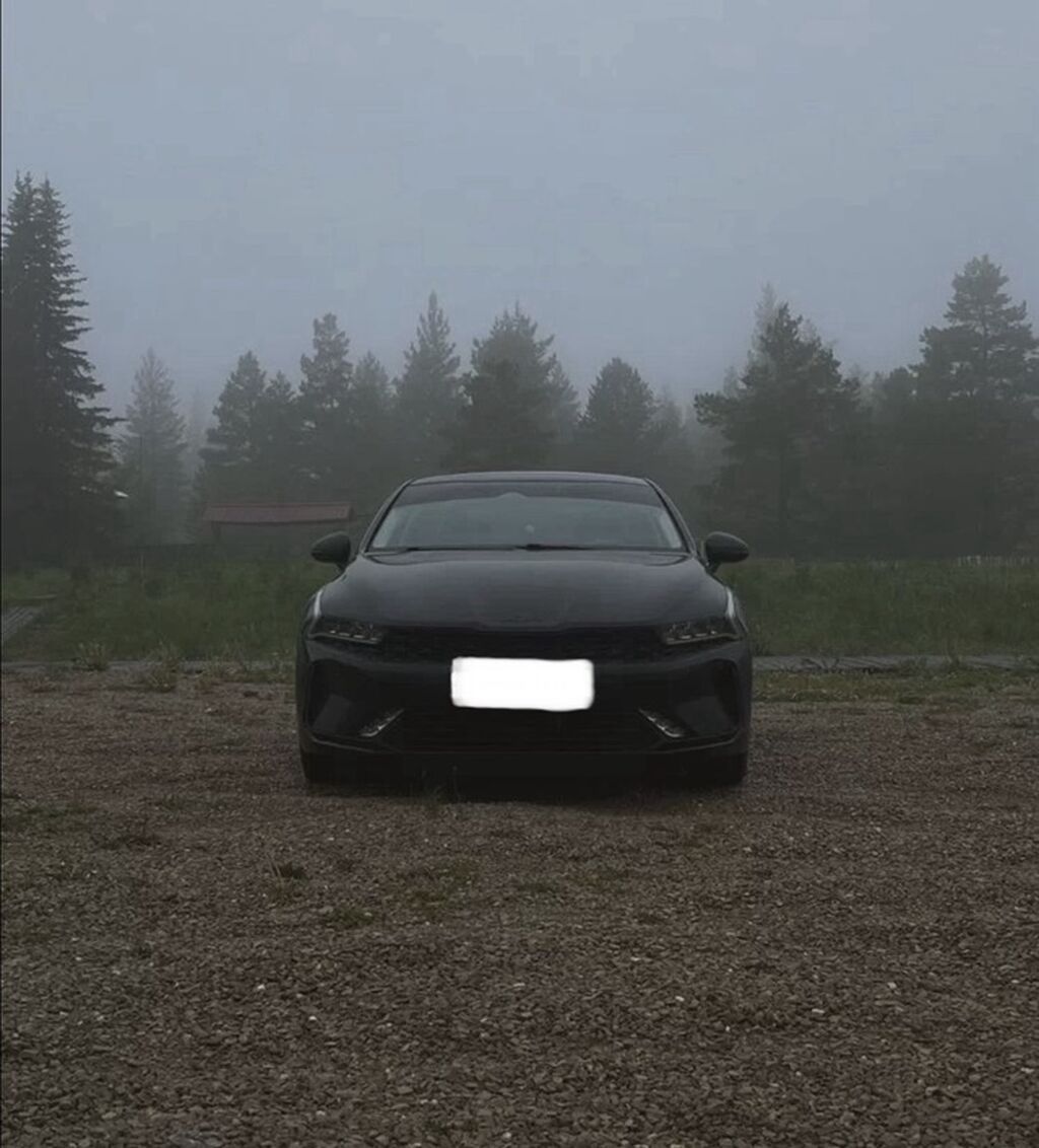 Kia K5: 2019 г., Автомат, Газ, Седан: фото 2