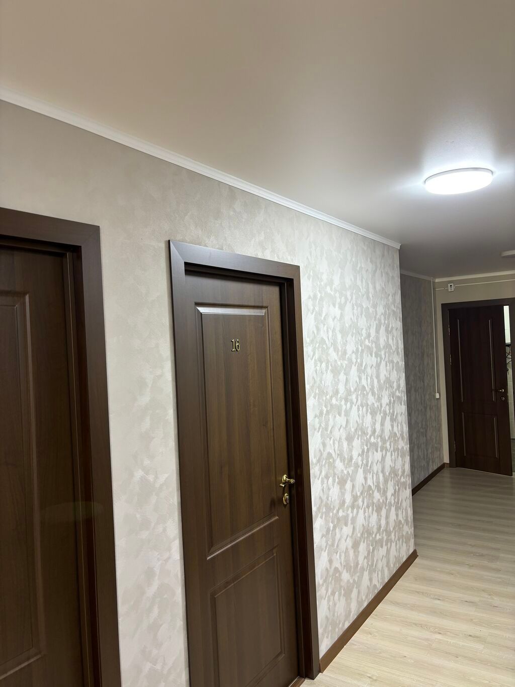 24 м², С мебелью: фото 2