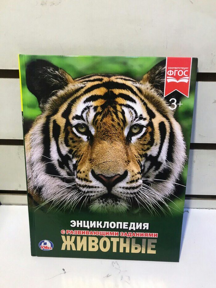 Kitab, jurnal, CD, DVD: Энциклопедия животные с развивающими заданиями для детей. - lalafo.az Bakı şəhərində Энциклопедия животные с развивающими заданиями для детей.