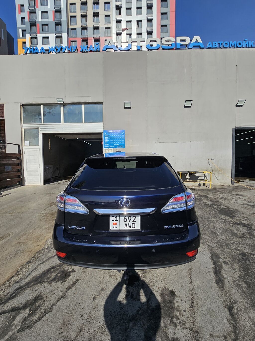 Lexus RX: 2011 г., 4.5 л, Автомат, Бензин, Кроссовер: фото 3