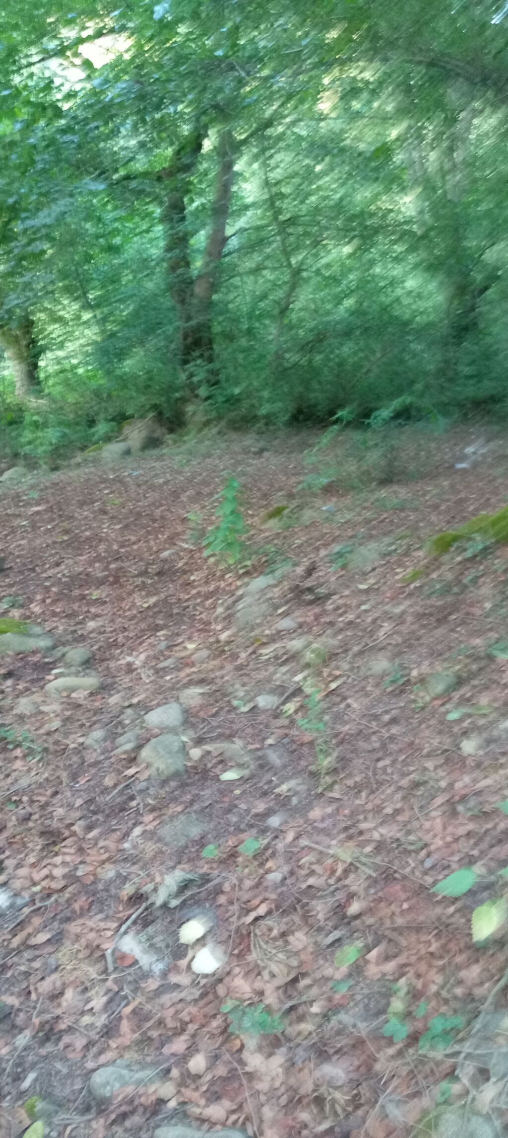 3 otaqlı, 100 kv. m, Orta təmir