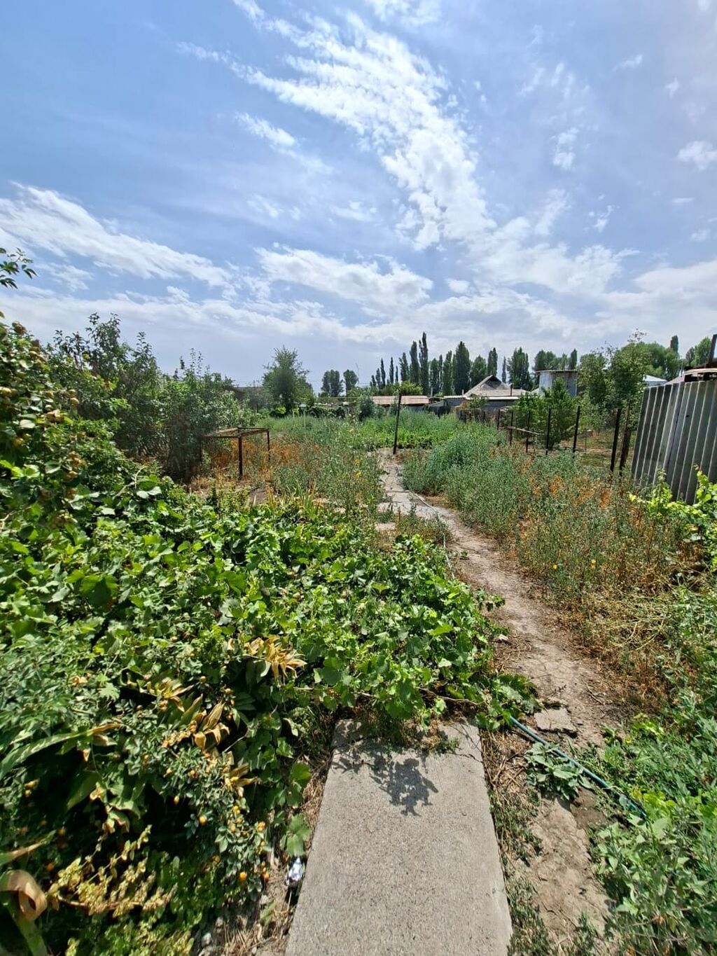 Продается! Дом в с. Ново- Покровка,в районе улицы Крупская,S-: фото 8
