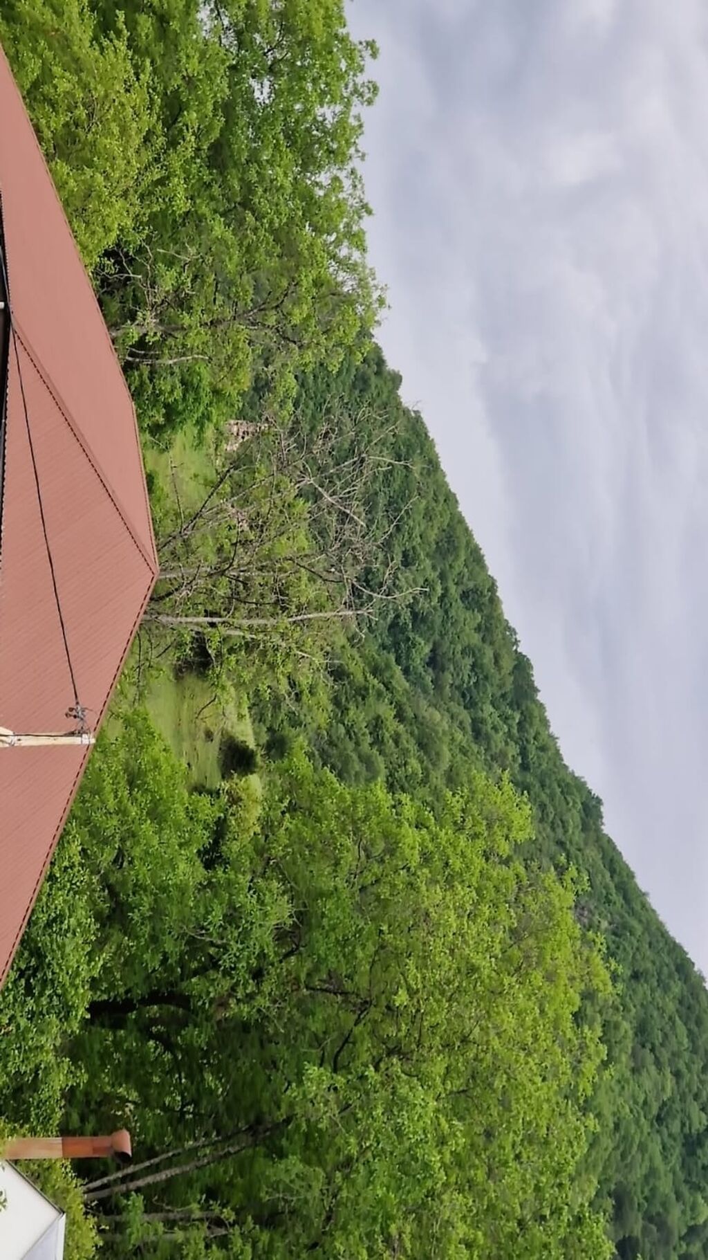 170 kv. m, 4 otaqlı, Hovuzsuz, İnternet