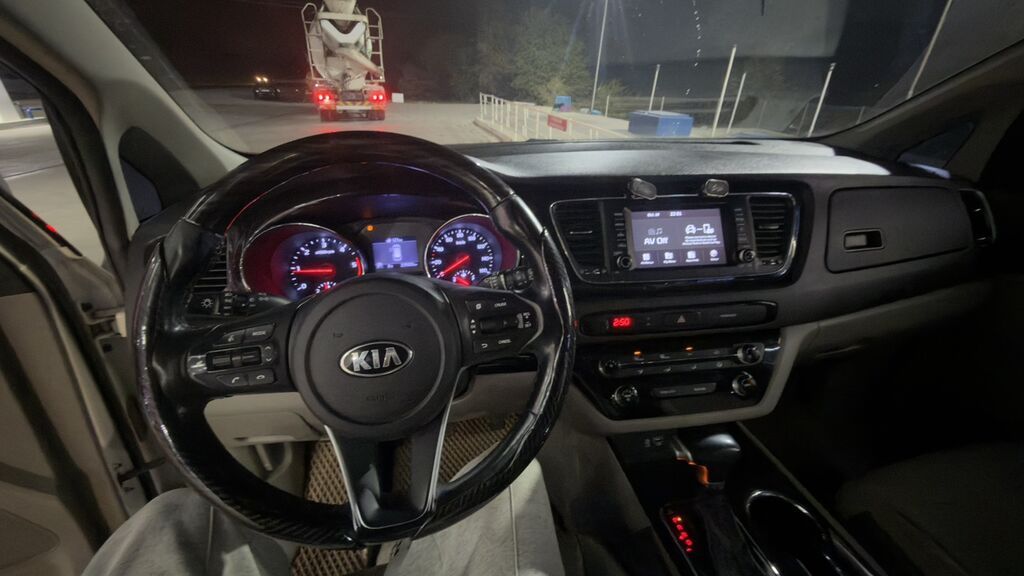 Kia Carnival: 2019 г., Минивэн: фото 5