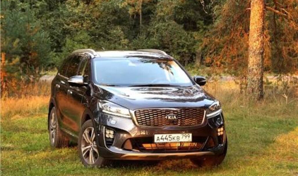 KIA и Hyundai Профессиональная услуга .чистка форсунок ( топливных: фото 4