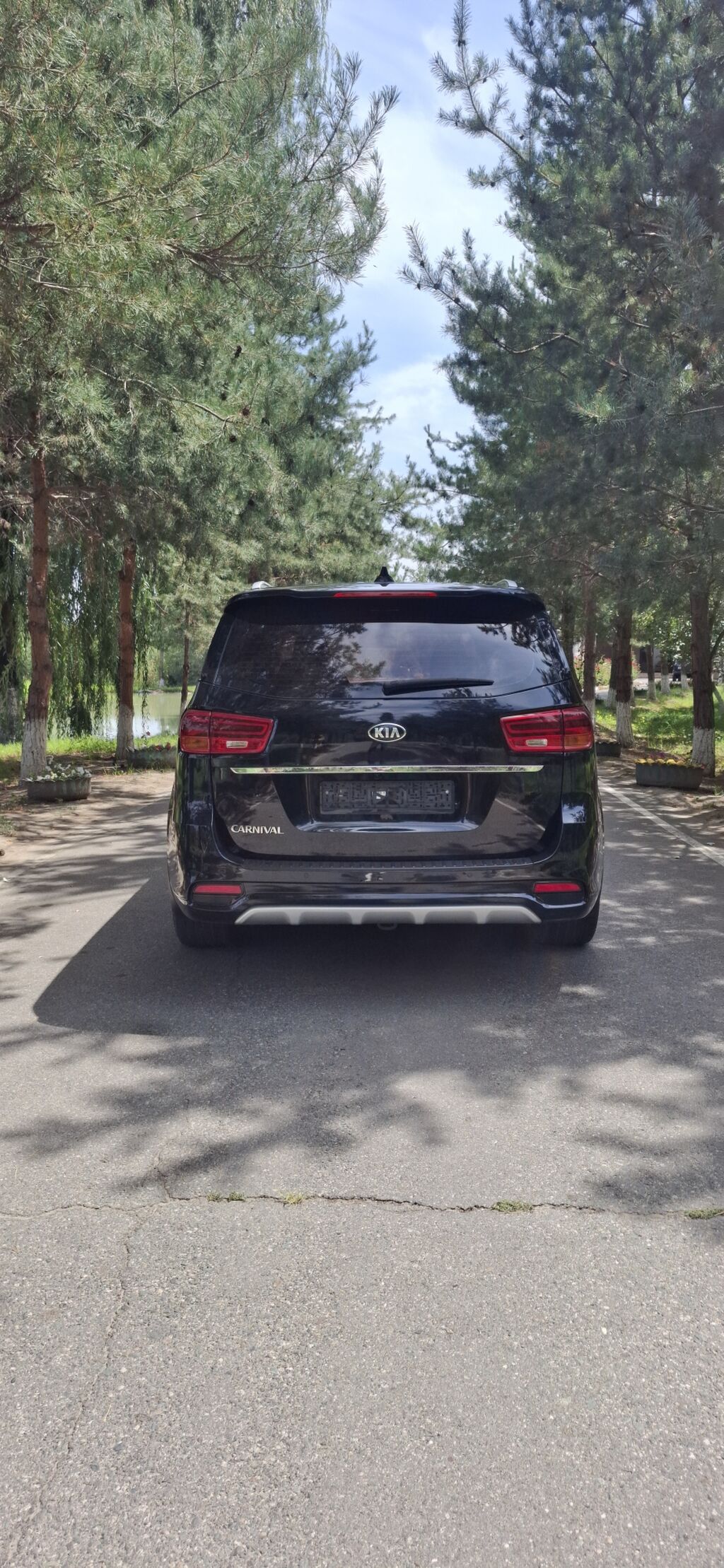 Продаю Kia Carnival 2019, дизель 2.2 л, автомат: фото 2