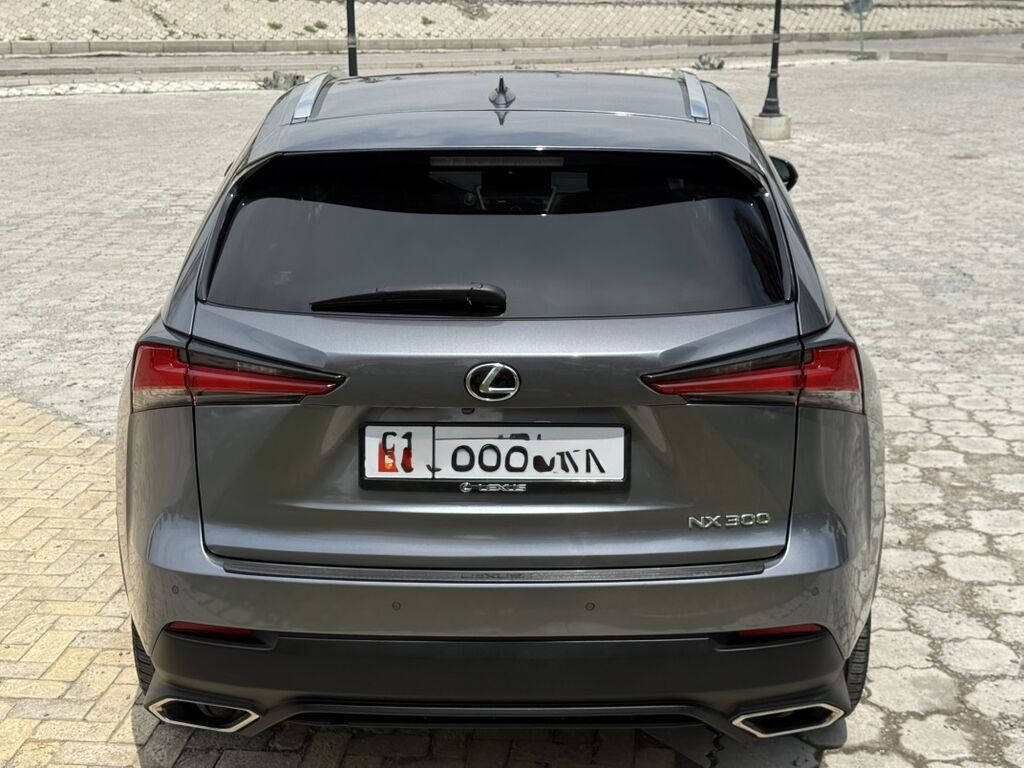 Lexus NX: 2019 г., 2 л, Автомат, Бензин, Кроссовер: фото 6