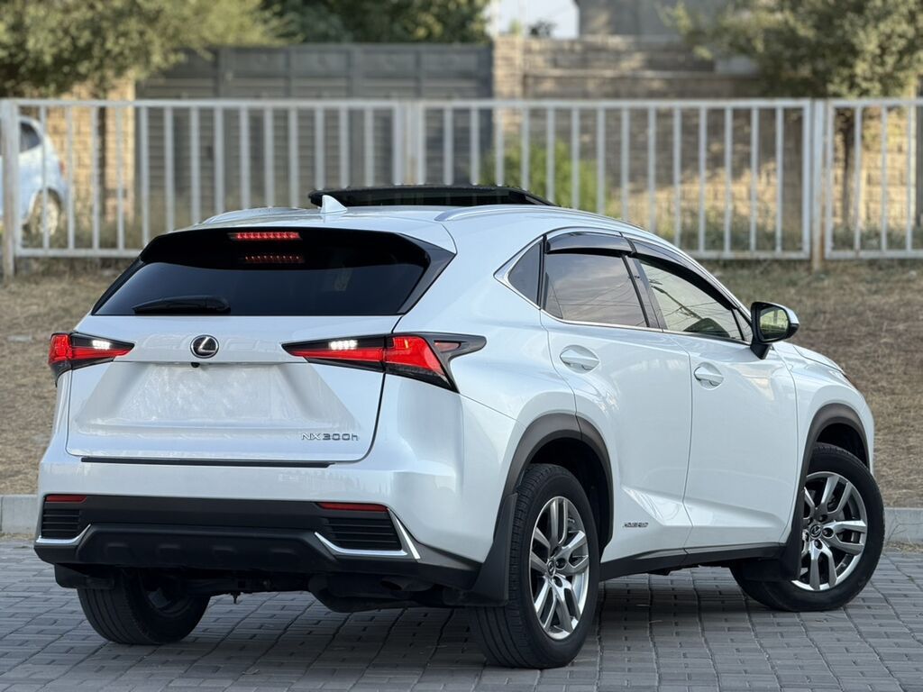 Lexus NX: 2020 г., 2 л, Автомат, Гибрид, Кроссовер: фото 6