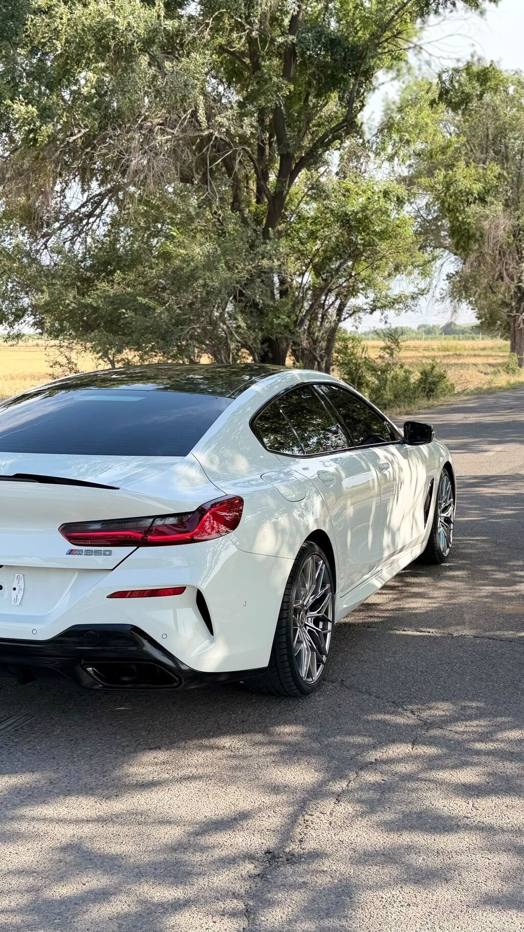 BMW 8 series: 2020 г., 4.4 л, Автомат, Бензин, Купе: фото 6