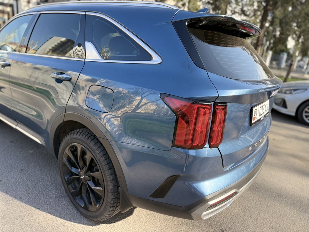 Kia Sorento: 2021 г., 2.2 л, Робот, Дизель, Кроссовер: фото 8