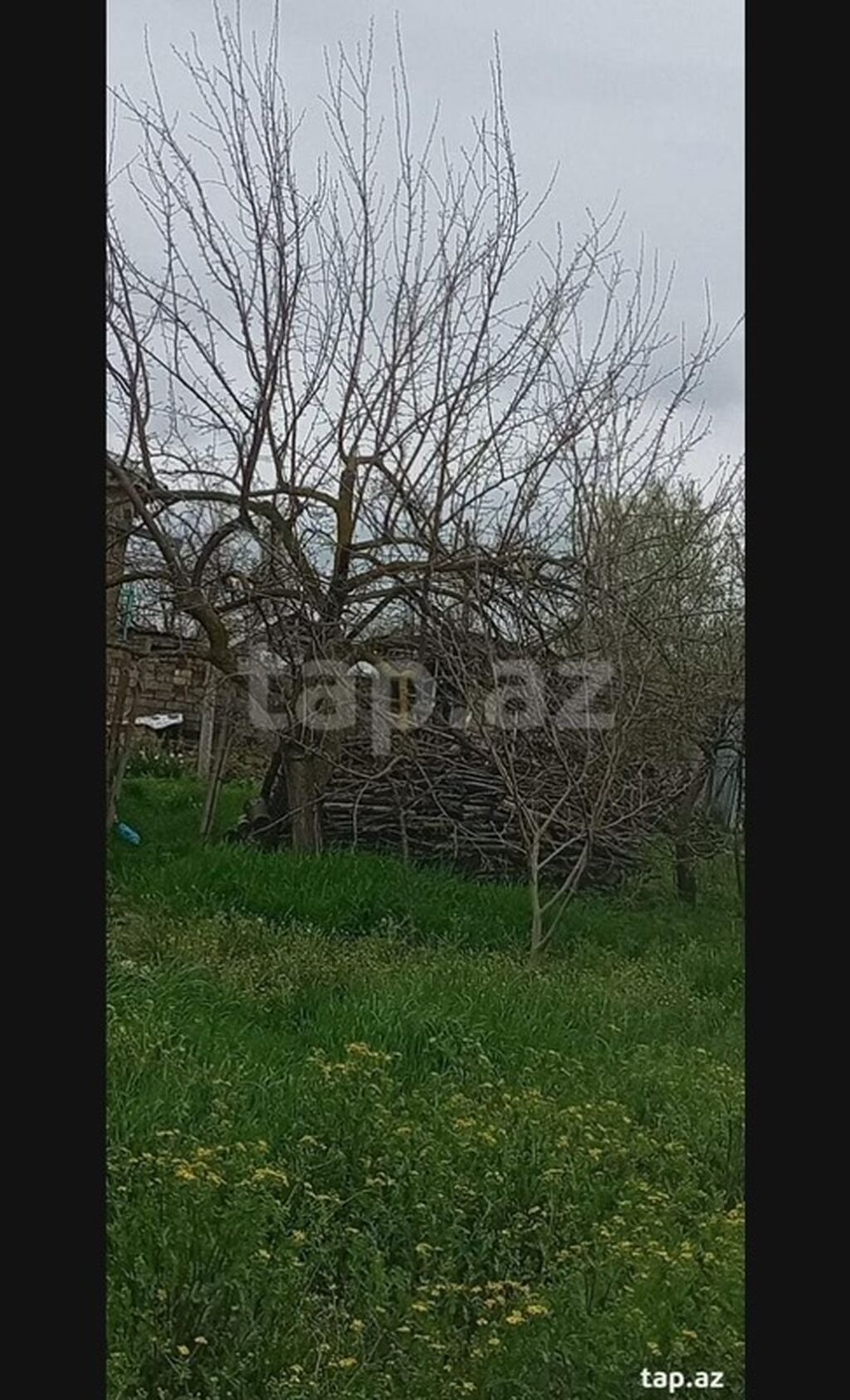 Kənd təsərrüfatı, Makler, Kupça (Çıxarış)