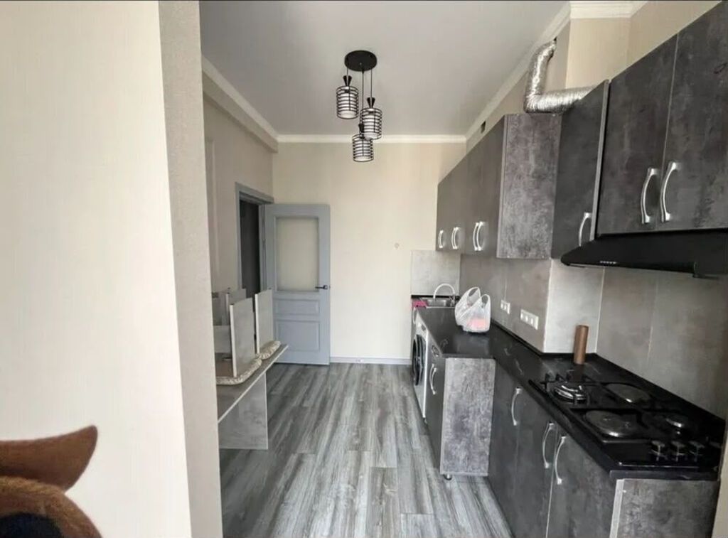 1 комната, 29 м², Асанбай мкр Элитка, 11 этаж, Евроремонт: фото 7