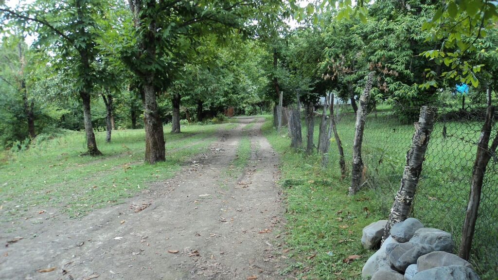 17 sot, Tikinti, Mülkiyyətçi, Kupça (Çıxarış)