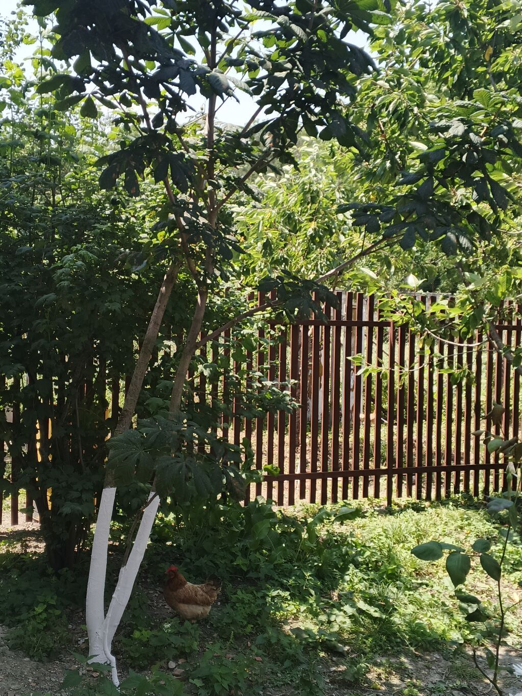 75 kv. m, 2 otaqlı, Hovuzsuz, İşıq
