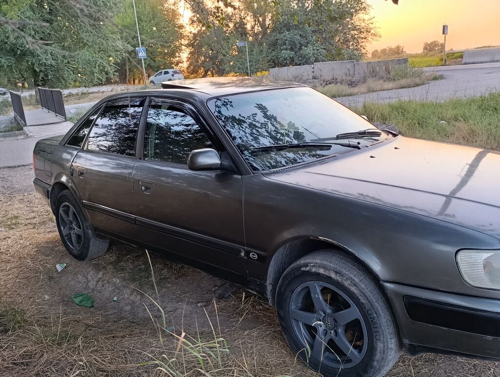 Audi 100: 1993 г., 2.8 л, Механика, Бензин, Седан: фото 5