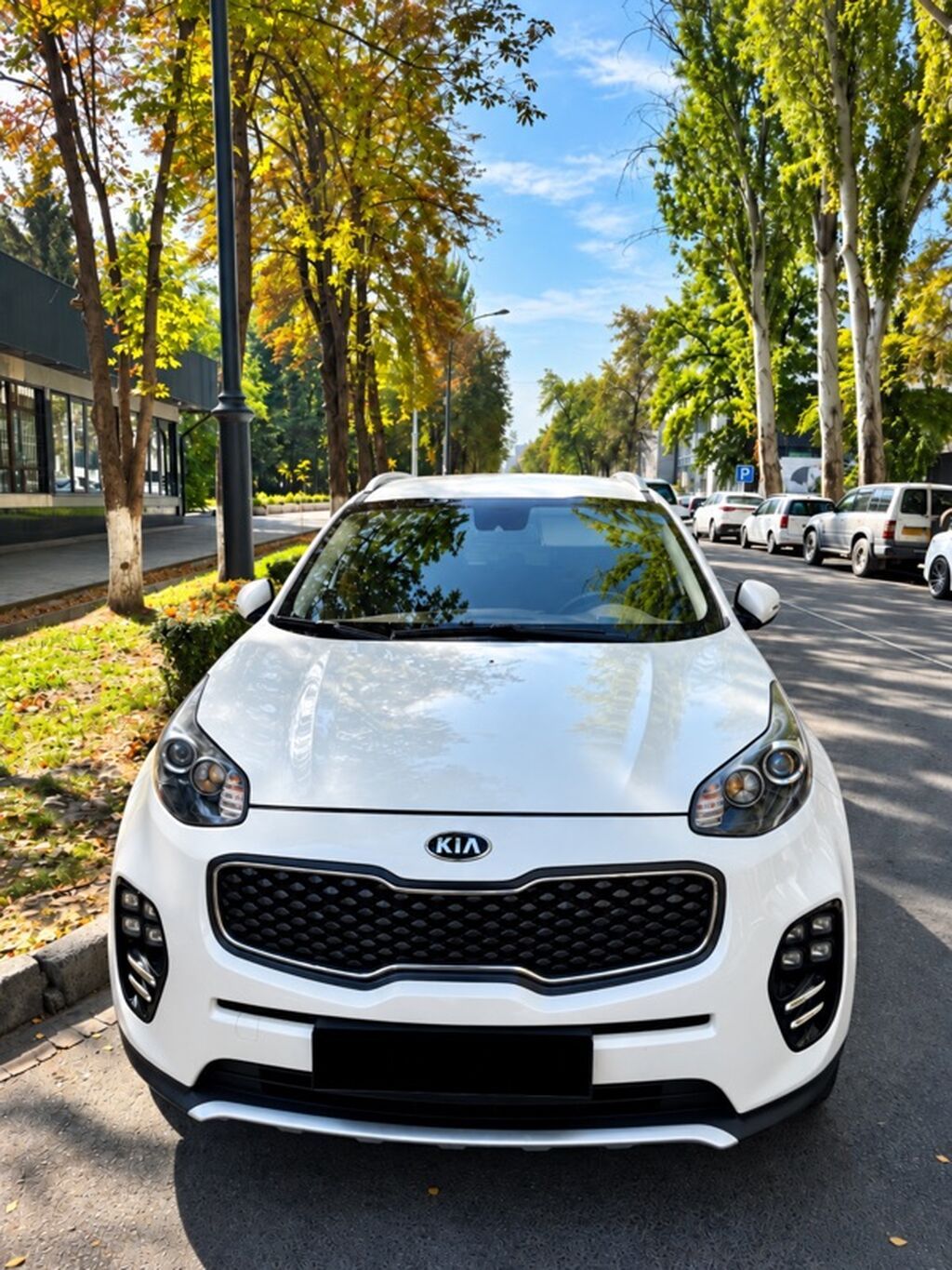 Kia Sportage: 2017 г., 2 л, Автомат, Дизель, Кроссовер: фото 1