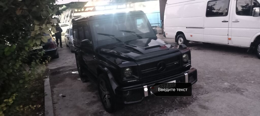 Mercedes-Benz G-Class: 1991 г., 3 л, Автомат, Дизель, Внедорожник: фото 6