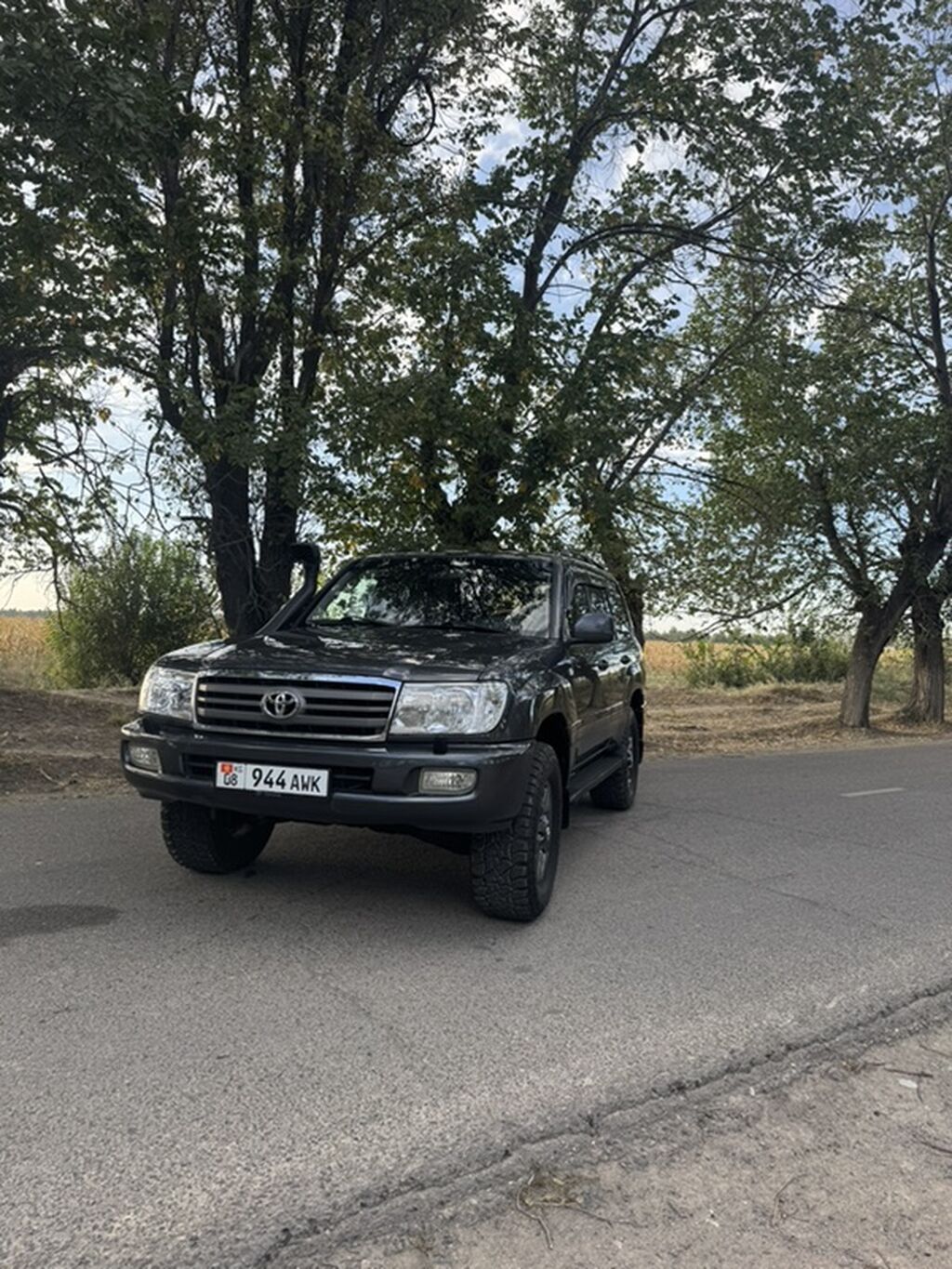 Toyota Land Cruiser: 2006 г., 4.2 л, Автомат, Дизель, Внедорожник: фото 3