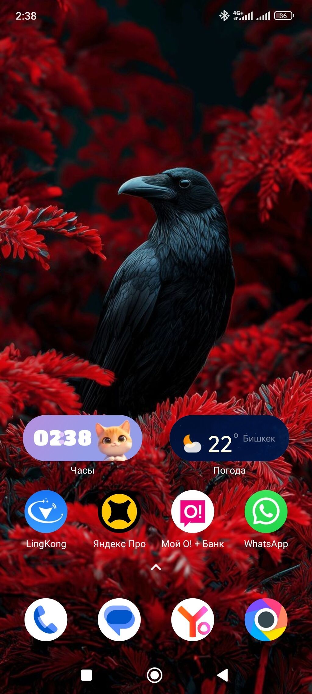 Poco X5 Pro 5G, Б/у, 256 ГБ, цвет - Черный: фото 2