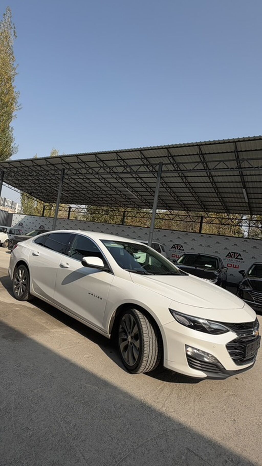 Chevrolet Malibu: 2021 г., 2 л, Автомат, Бензин, Седан: фото 3