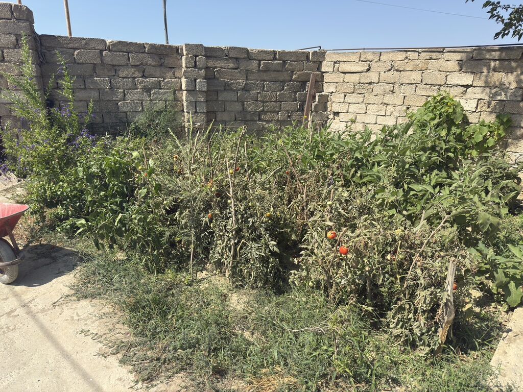 Bakı, Türkan qəs., 110 kv. m, 3 otaqlı, Hovuzsuz, Qaz, Kombi, Artezian quyusu