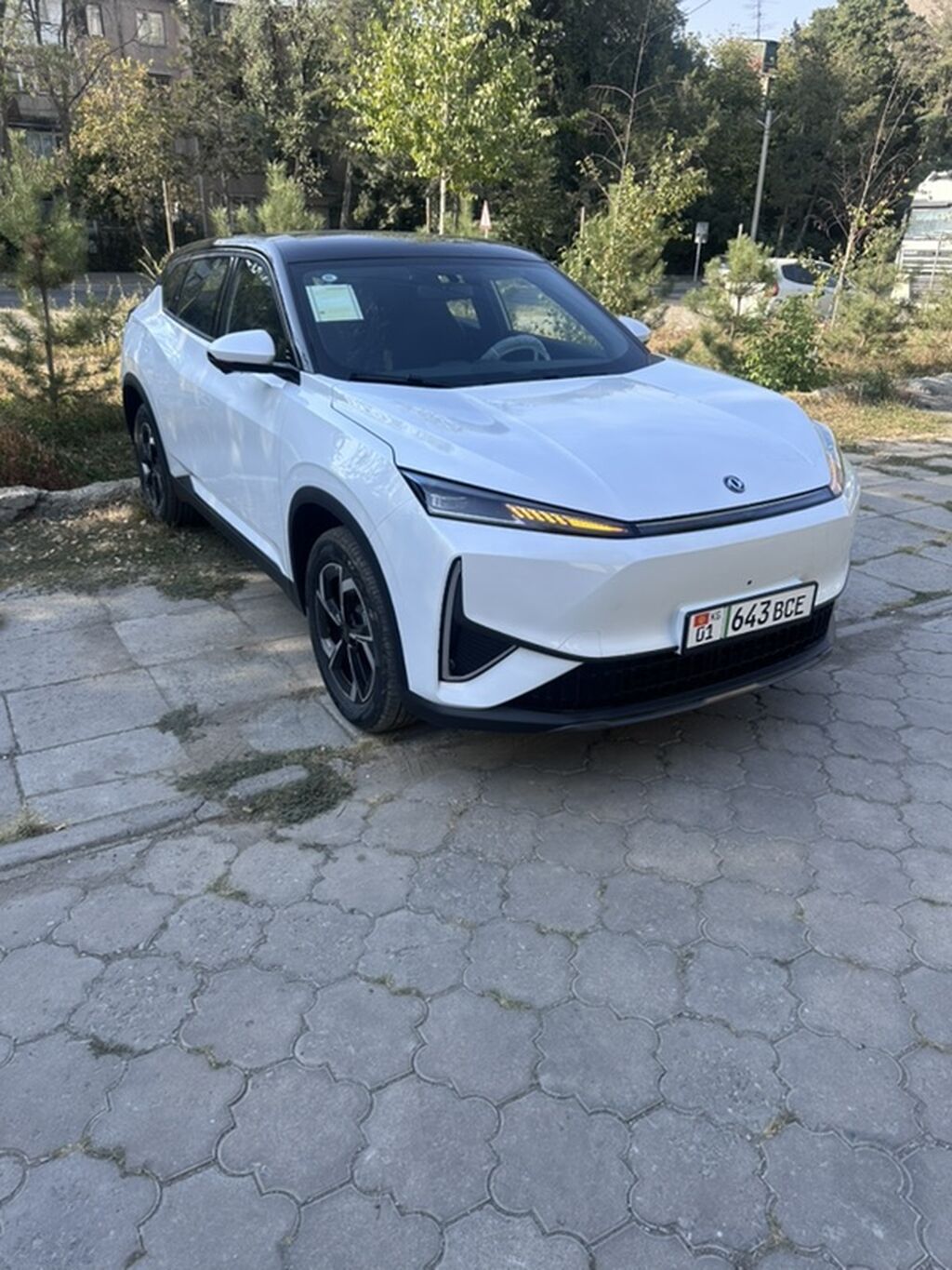 Dongfeng Aeolus Haohan
