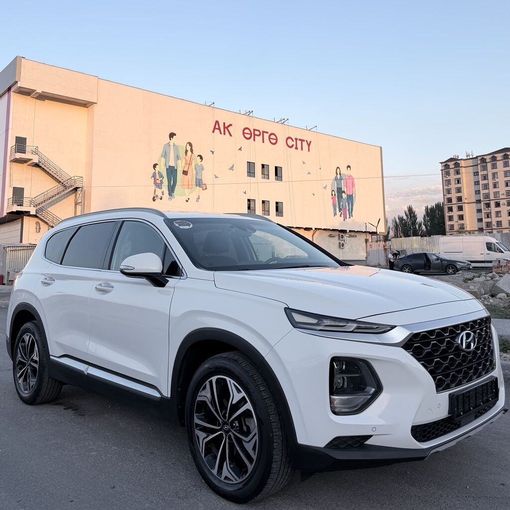 Hyundai Santa Fe: 2019 г., 2 л, Автомат, Дизель, Кроссовер — фото 5