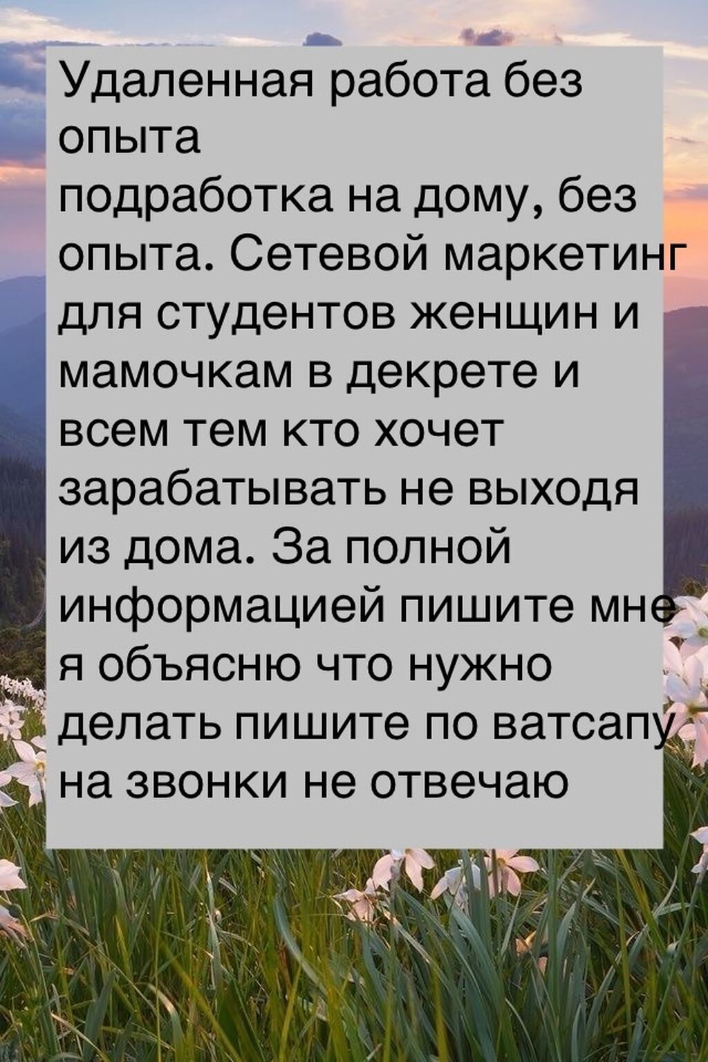 Удаленная работа, для полного описания работы: Договорная ᐈ Сетевой  маркетинг | Бишкек | 91404873 ➤ lalafo.kg