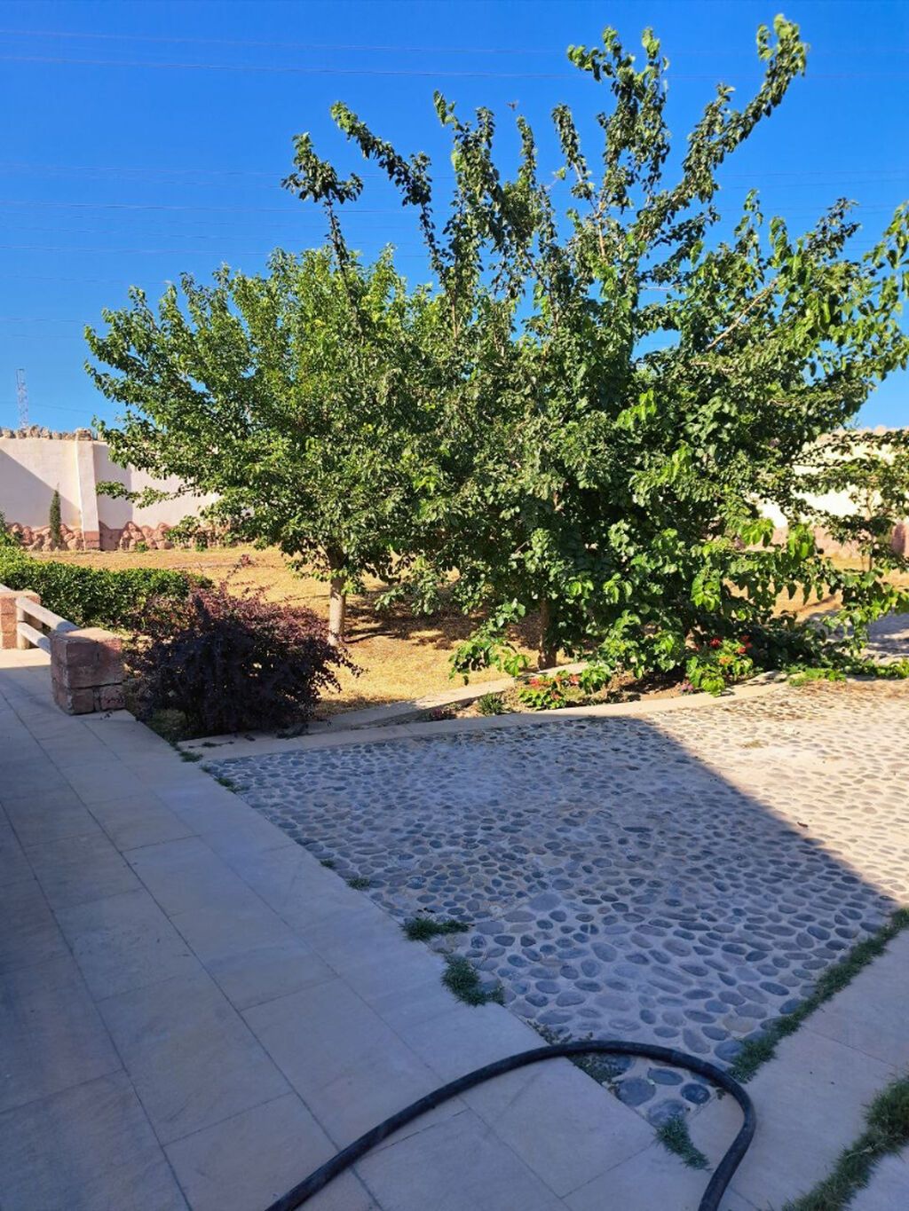 6 sot, Tikinti, Mülkiyyətçi, Kupça (Çıxarış)