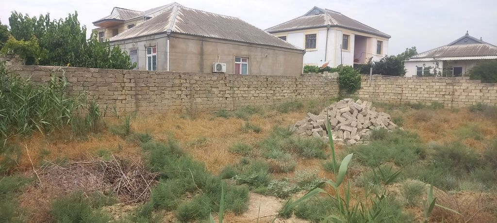 6 sot, Tikinti, Mülkiyyətçi, Kupça (Çıxarış)