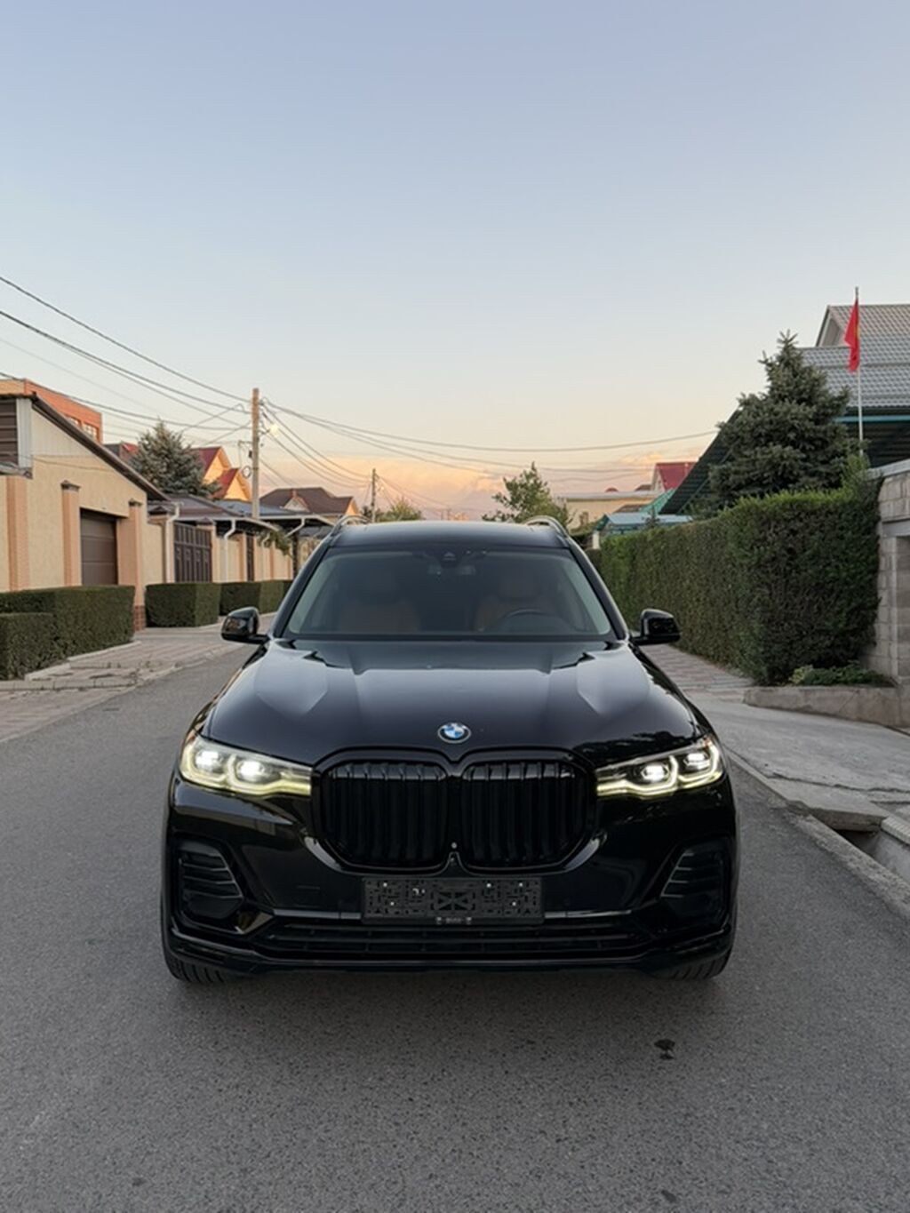 BMW X7: 2019 г., 3 л, Автомат, Бензин, Внедорожник: фото 4