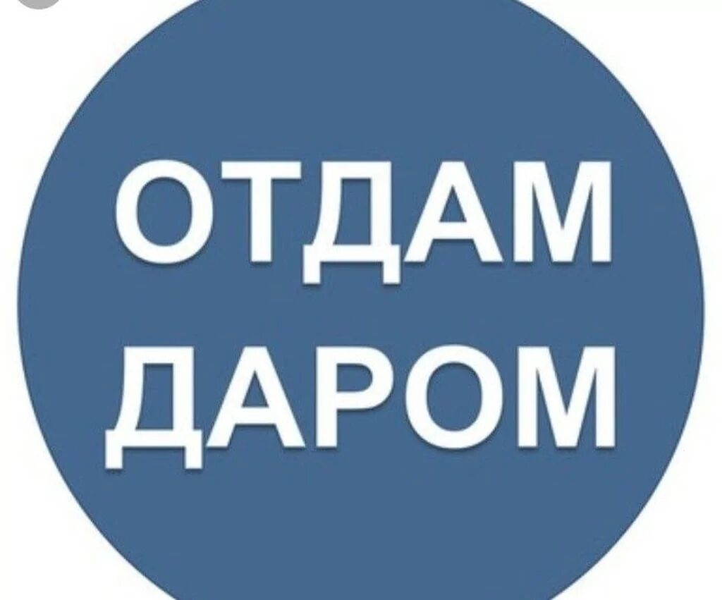 Отдам даром вещей. Отдам даром. Отдам даром картинки. Обложка для группы отдам даром. Отдавать.