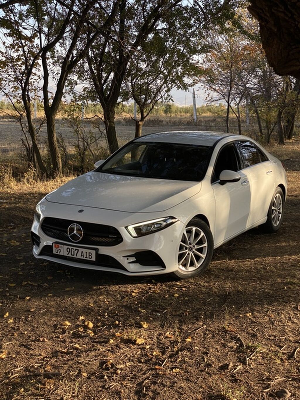 Mercedes-Benz A-Class: 2019 г., 2 л, Автомат, Бензин, Седан: фото 1