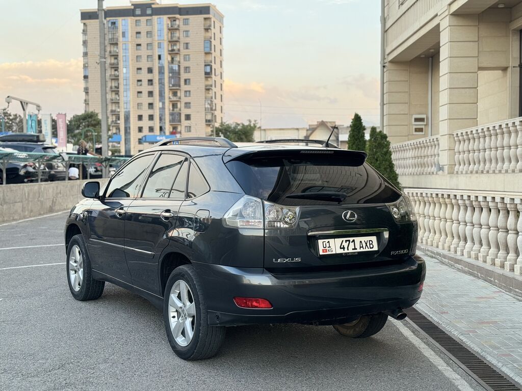 Lexus RX: 2004 г., 3 л, Автомат, Газ, Кроссовер: фото 4