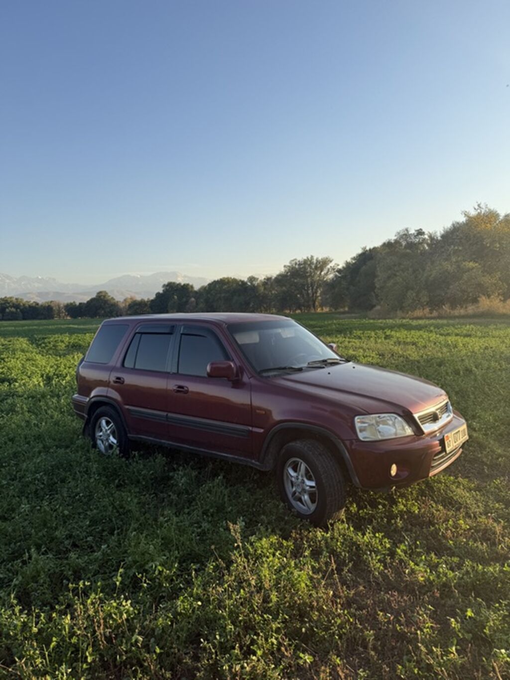 Honda CR-V: 2000 г., 2 л, Механика, Бензин, Внедорожник: фото 1