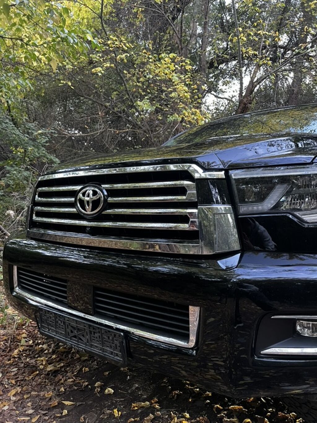 Toyota Sequoia: 2018 г., 5.7 л, Автомат, Газ, Внедорожник: фото 8