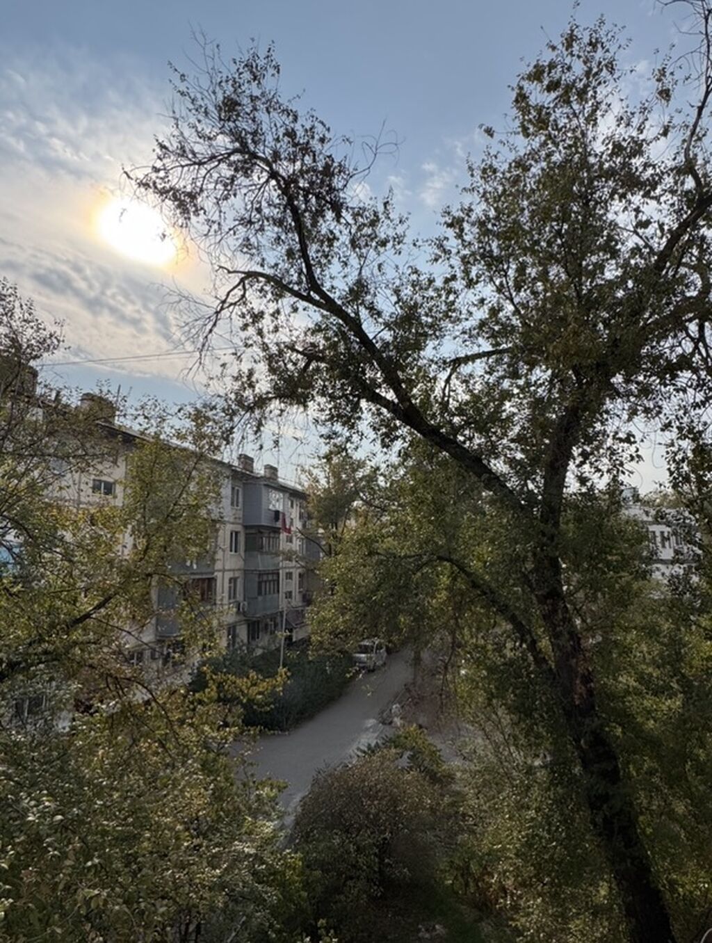 1 комната, 34 м², 104 серия, 3 этаж, Косметический ремонт: фото 5